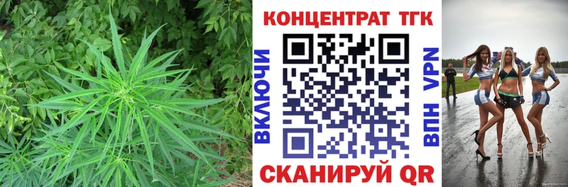 дарнет шоп  Нефтегорск  ТГК вейп 