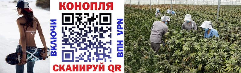 Бошки марихуана SATIVA & INDICA  Нефтегорск 